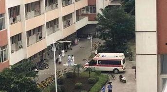 广西师大爆料新闻事件最新,校园事件引发社会关注,真相即将揭晓 第1张 广西师大爆料新闻事件最新,校园事件引发社会关注,真相即将揭晓 第1张